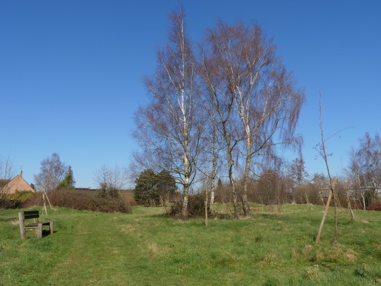 Le parc du Loose Veld