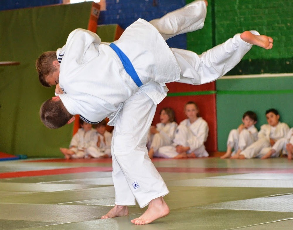 Stages de Judo et de Taïso