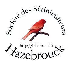 Société des Sériniculteurs et Oiseleurs d’Hazebrouck et environs (S.S.O.H)